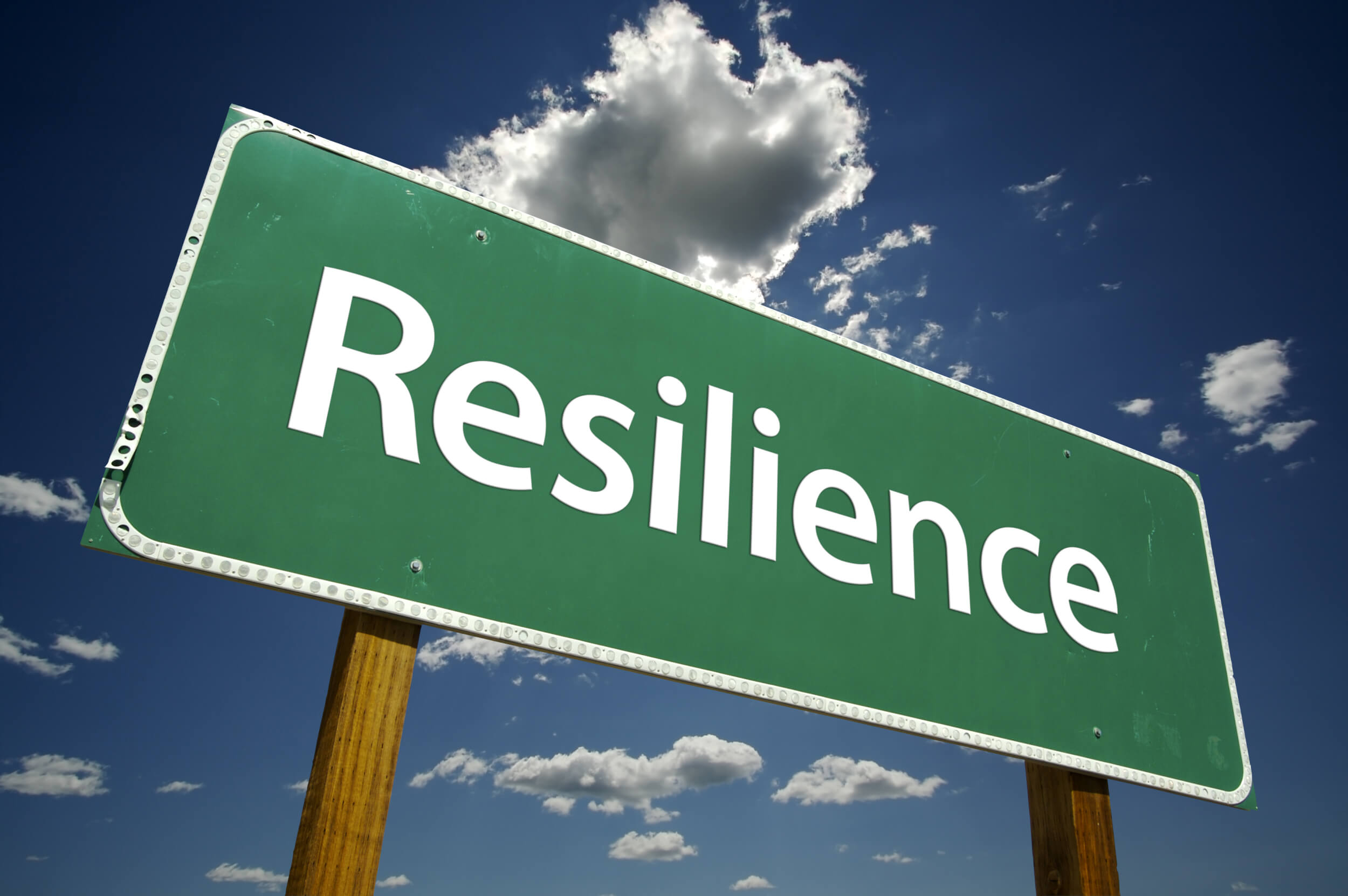 43-resilience-examples-2024